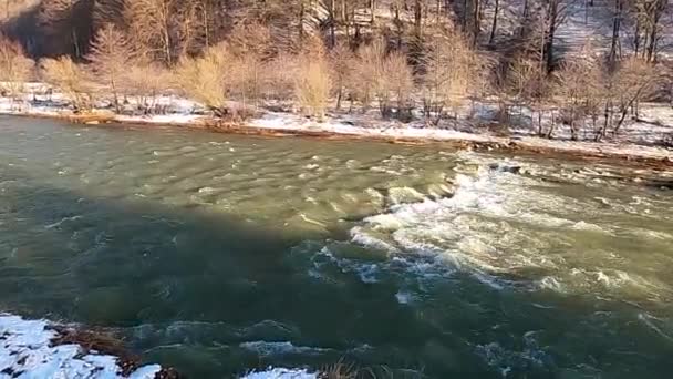 Fullt Strömmande Bergsflod Vintern Karpaterna — Stockvideo