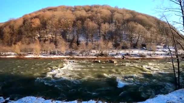 Fullt Strömmande Bergsflod Vintern Karpaterna — Stockvideo