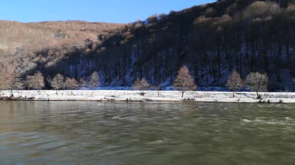 Потік Гірської Річки Зимових Карпатських Горах — стокове відео