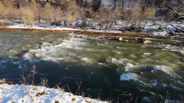 Полноводная Горная Река Зимних Карпатах — стоковое видео