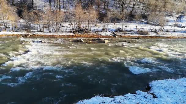 Fullt Strömmande Bergsflod Vintern Karpaterna — Stockvideo