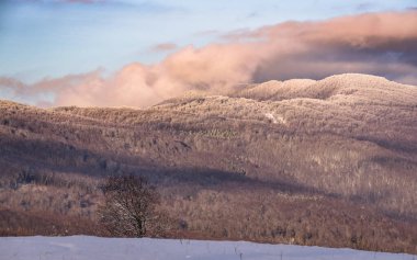 Karpat Dağları 'ndaki kış manzarası