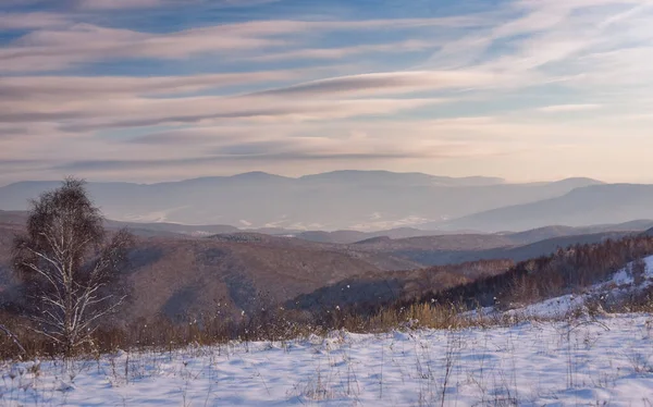 Зимний Пейзаж Карпатах — стоковое фото