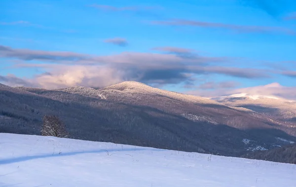 Paisaje Invernal Las Montañas Los Cárpatos — Foto de Stock