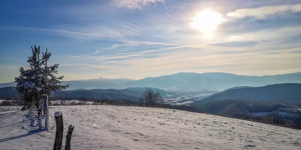 Peisaj Iarnă Munții Carpați — Fotografie, imagine de stoc
