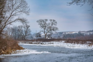 Bir dağ nehrinin kış manzarası