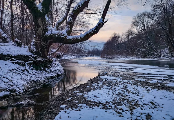 Вечірній Зимовий Пейзаж Гірської Річки — стокове фото