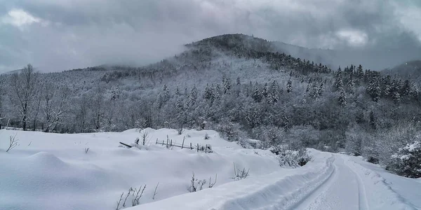 Peisaj Iarnă Munții Carpați — Fotografie, imagine de stoc