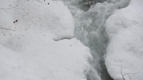Płynąca Pełni Górska Rzeka Karpatach Zimą — Wideo stockowe