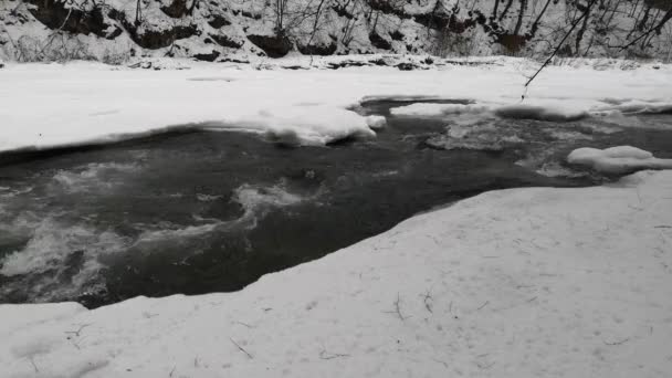 Voller Gebirgsfluss Den Karpaten Winter — Stockvideo