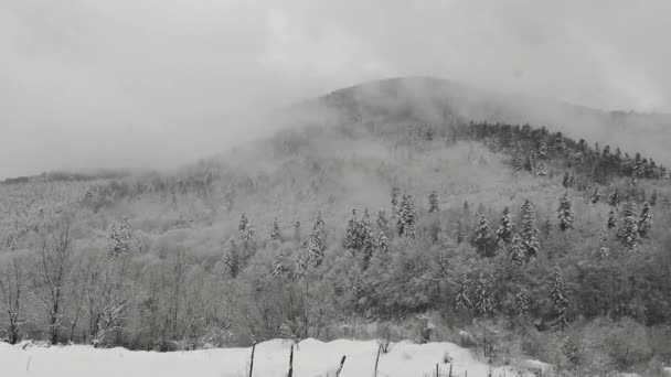 Paysage Hivernal Dans Les Montagnes Des Carpates — Video