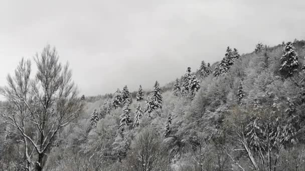 Vinterlandskap Karpaterna — Stockvideo