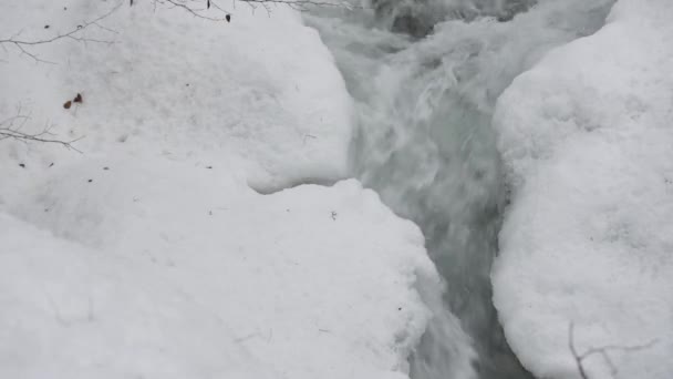 Full Flödande Bergsflod Karpaterna Vintern — Stockvideo