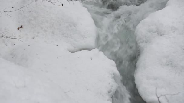 Teljes Folyású Hegyi Folyó Kárpátok Hegység Télen — Stock videók