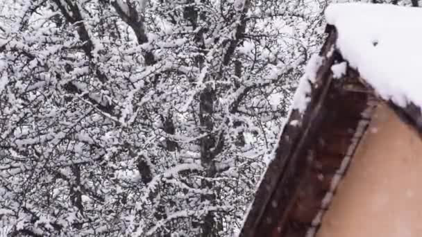 Vinter Landskap Stad Tak Tung Snö — Stockvideo
