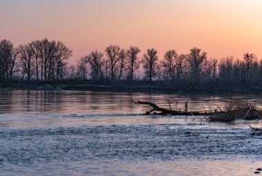 Akşam bir dağ şarapçısı nehrinde 