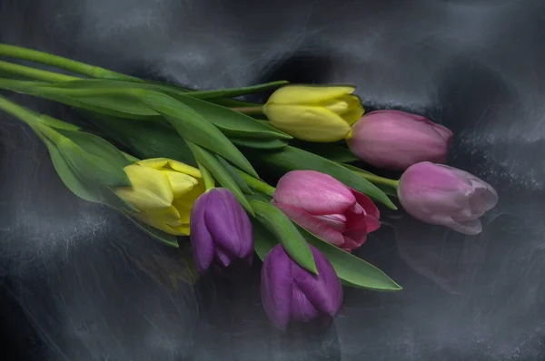 Ramo Primavera Tulipanes Coloridos — Foto de Stock