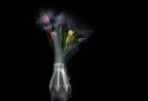 Bouquet Multi Colored Tulips White Vase Outlined Light — Stock Photo, Image