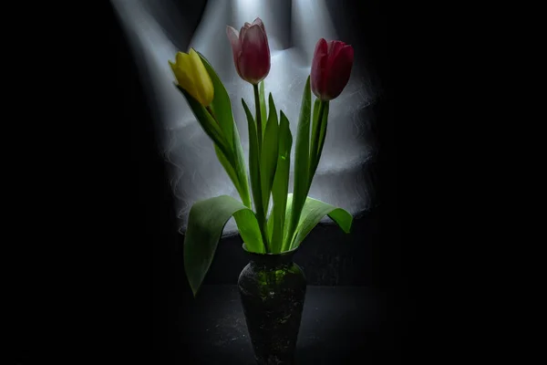 Ramo Tulipanes Multicolores Jarrón Blanco Delineado Luz — Foto de Stock