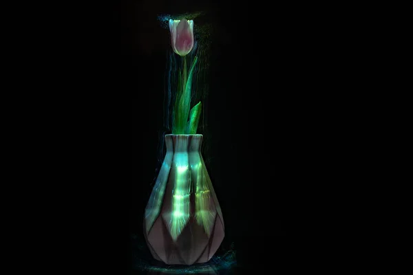 Tulipano Rosa Vaso Sfondo Scuro — Foto Stock