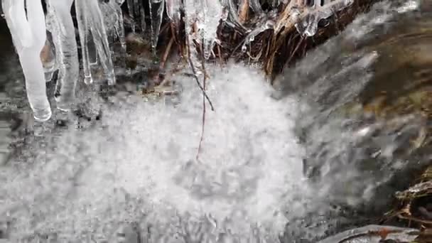 在充满矿物质的山林溪流中融化的雪 — 图库视频影像