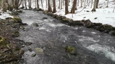 Karla kaplı bir dağ nehrinin gece manzarası