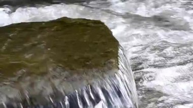 Dağlık bir ormanda eriyen kar minerallerle dolu.