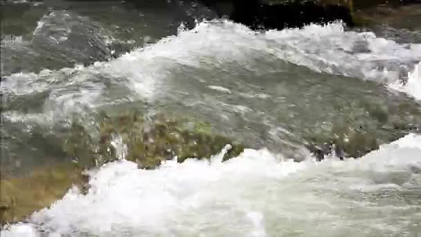 Neige Fondue Dans Ruisseau Forêt Montagne Saturé Minéraux — Video