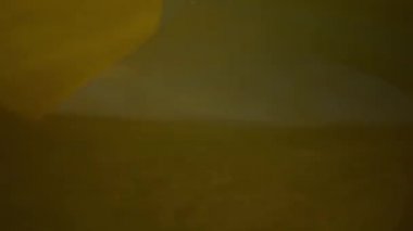 Ukrayna bayrağı rüzgârda büyüyor