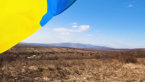 Bandeira Ucraniana Está Desenvolvendo Vento — Vídeo de Stock