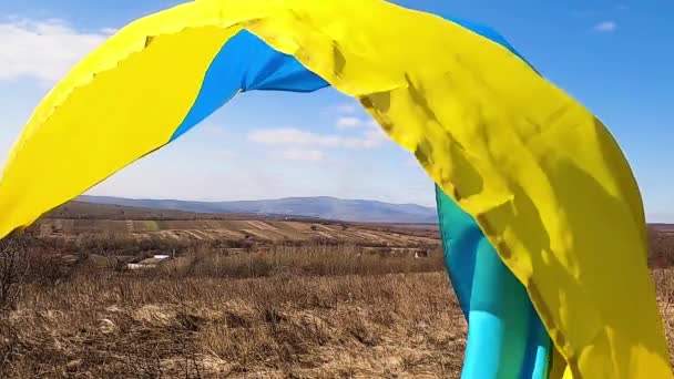 Bandera Ucrania Está Desarrollando Viento — Vídeo de stock