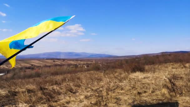 우크라이나 국기가 바람에 흔들리고 — 비디오