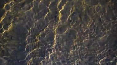 Güneşli bir dağ nehrinin desenli dalgaları