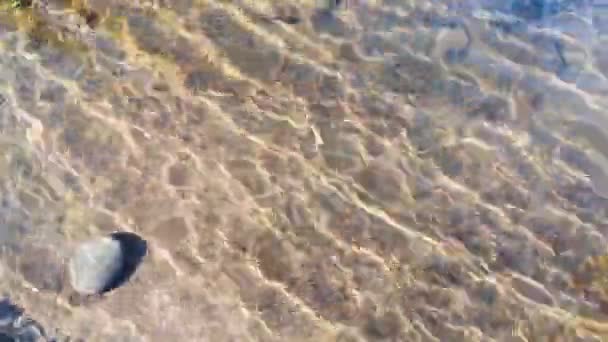 Текстуровані Хвилі Гірської Річки Відблисками Сонця — стокове відео