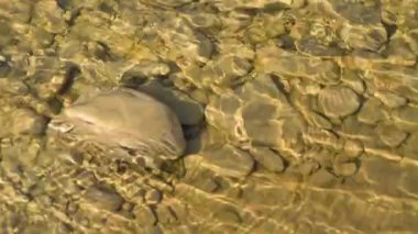 Güneşli bir dağ nehrinin desenli dalgaları