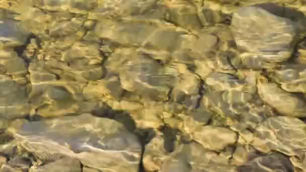 Olas Texturizadas Río Montaña Con Resplandor Solar — Vídeo de stock