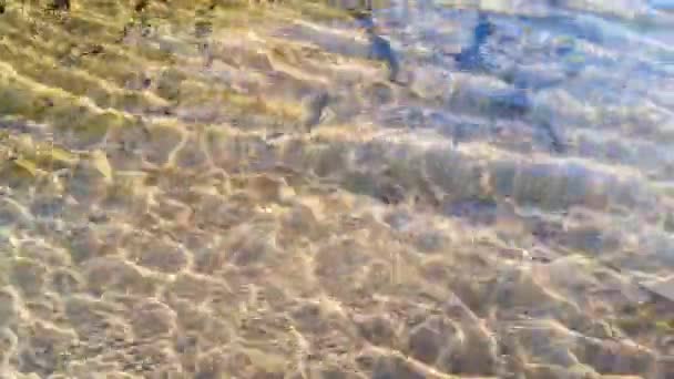 Vagues Texturées Une Rivière Montagne Aux Reflets Soleil — Video