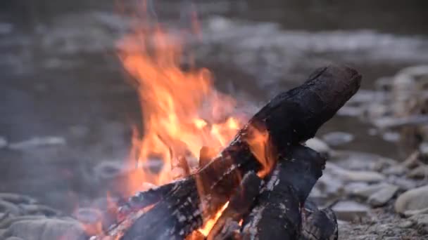 Bonfire Bank Evening Mountain River — Stock Video