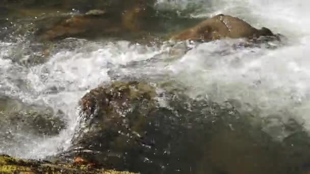 Ροή Των Καθαρών Διάφανων Υδάτων Ενός Ορεινού Ποταμού Την Άνοιξη — Αρχείο Βίντεο