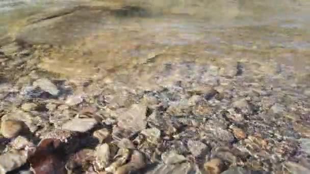 Ροή Των Καθαρών Διάφανων Υδάτων Ενός Ορεινού Ποταμού Την Άνοιξη — Αρχείο Βίντεο