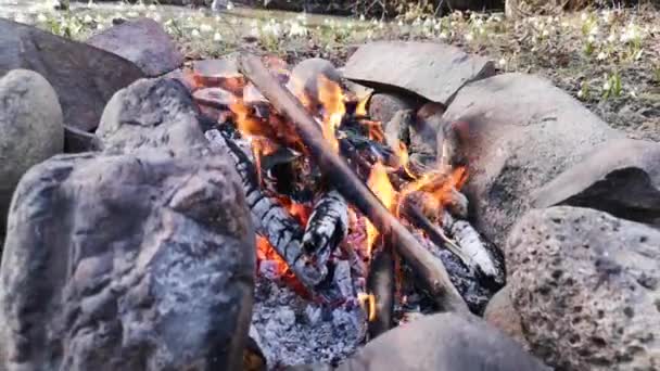 Tábortűz Esti Hegyi Folyó Partján — Stock videók