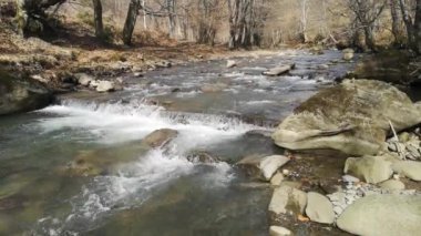 Bahar mevsiminde bir dağ nehrinin berrak şeffaf suyu.