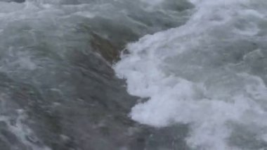 Bahar Ormanı 'ndaki fırtınalı nehir.