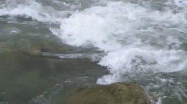 Bahar Ormanı 'ndaki fırtınalı nehir.
