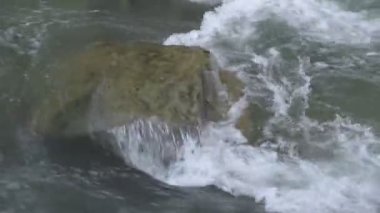 Bahar Ormanı 'ndaki fırtınalı nehir.