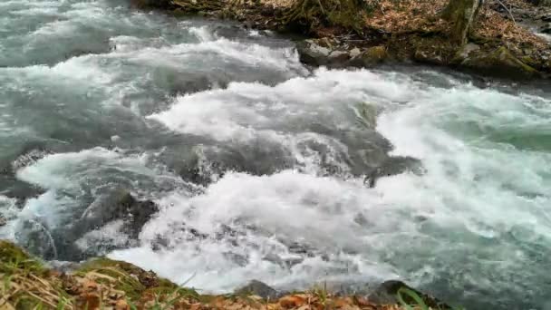 Ποταμός Stormy Στο Ορεινό Δάσος Άνοιξη — Αρχείο Βίντεο