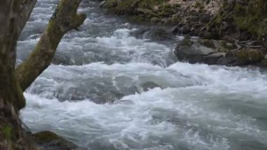 Bahar Ormanı 'ndaki fırtınalı nehir.
