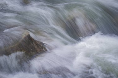 Bahar Ormanı 'ndaki fırtınalı nehir.