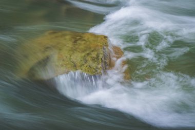 Bahar Ormanı 'ndaki fırtınalı nehir.