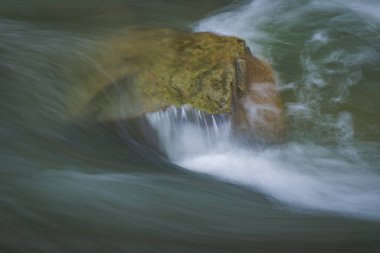 Bahar Ormanı 'ndaki fırtınalı nehir.